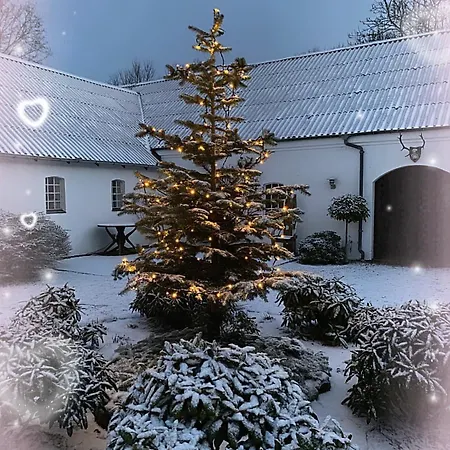 Guldforhoved Bed & Breakfast