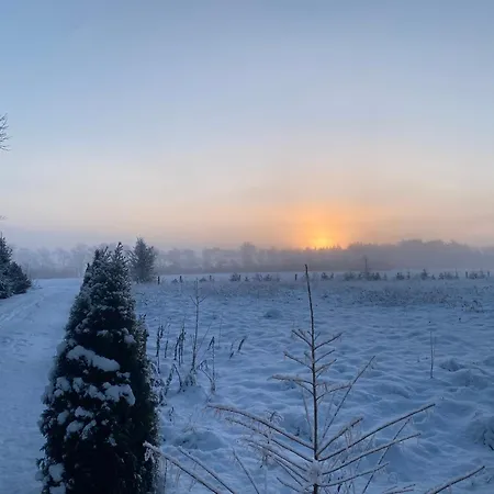 Guldforhoved 3* Bording Kirkeby