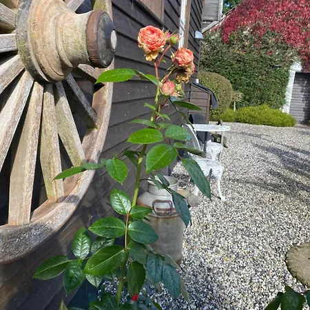 Bed & Breakfast Guldforhoved 3*