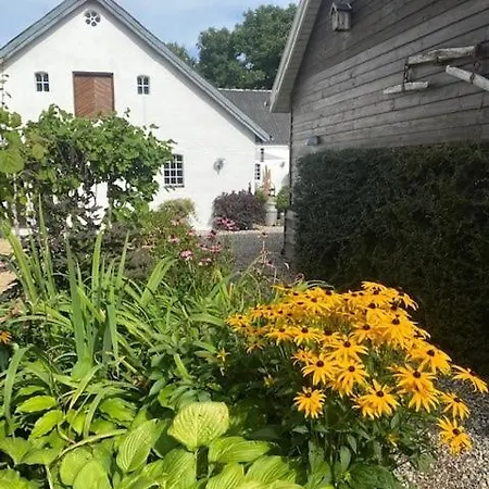 Guldforhoved Bed & Breakfast