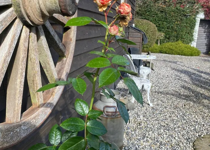 Bed & Breakfast Guldforhoved 3*
